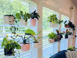 Hanging Shelf Acrylic Plant Shelves
