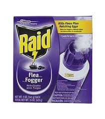 raid flea plus fogger 5 oz 3