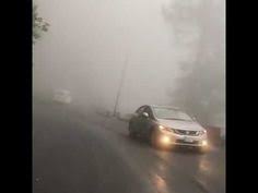 Murree weather today murree snowfall murree live murree pakistan. 10 Murree Ideas Murree Snowfall Foggy Weather