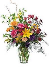 Send flowers with proflowers, a google trusted store rated a in excellent service and reliable shipping. Blaine Florist Blaine Mn Flower Shop Addie Lane Floral Gifts