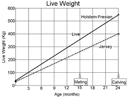 Jersey Cow Weight Chart All About Cow Photos