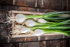 what-are-scallions-called-in-australia