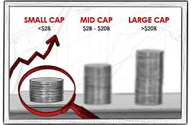 complete guide to small cap investing