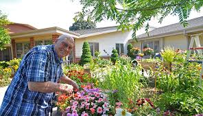 planting an alzheimer s sensory garden