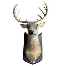 Vtg Buck The Singing Talking Deer Head