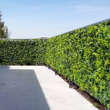 Fence Artificial Hedge Panels
