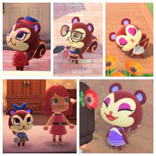 Pecan appreciation post. Today, she decided to move on from Camelot. : r/ AnimalCrossing