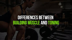 toning muscle