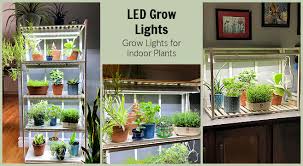 Led Grow Lights The Best System For
