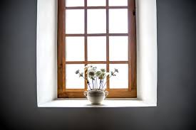 The Best Windows For Plants
