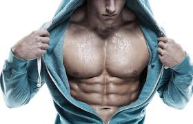 Anatomy of male chest and torso featuring major muscular groups. Chest Anatomy All About The Chest Muscles