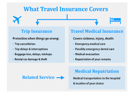 Travel Health Insurance To France gambar png