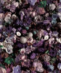Dark Moody Flower Wallpaper • Milton ...