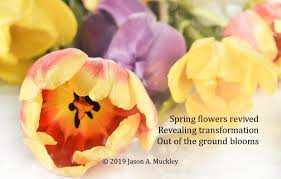 See more ideas about spring air, haiku, spring. Easter Transformation Haiku Poetry Napowrimo Poems For Warriors