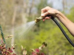 The 10 Best Expandable Garden Hoses In