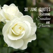 Check spelling or type a new query. 30 June Quotes Featuring Sunshine And Flowers Holidappy