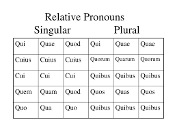 Ppt Relative Pronouns Singular Plural Powerpoint