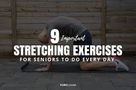 stretching exercises for seniors