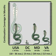 mini cobra laws in d c maryland and