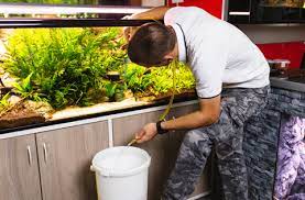 aquarium water change a how to guide