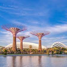 the bay singapore sky garden