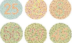 How To Interpret The Ishihara Color Plate Test