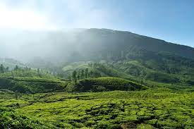 The hill stations along the western ghats in kerala become misty. Kerala In November Places To Visit In Kerala Pickyourtrail