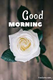 Share these beautiful inspirational morning wishes with your friends, family and loved once and. 35 Best Good Morning Flowers Images Funzumo