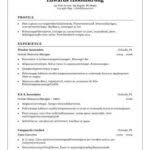 Combination Resume Definition Format Layout 117 Examples