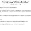 Classification and Division Essay