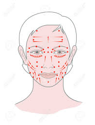 Shiatsu Points Face Massage Acupuncture Female Head View Vector