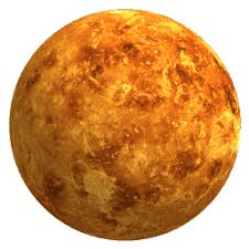 Image result for venus