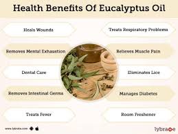The aroma of this oil alone can help you relieve your stress. Benefits Of Eucalyptus Oil And Its Side Effects Lybrate
