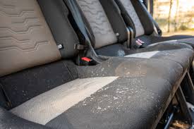 how to completely remove mold in your car