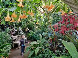 the denver botanic gardens