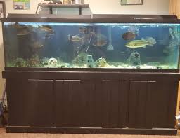 100 gallons fish tanks and aquariums