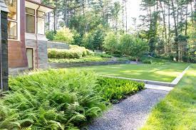 Woodland Edge Contemporary Garden