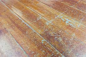 Hardwood Floors Withstand Water Damage