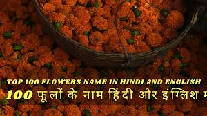 10 flowers name in urdu gk questions