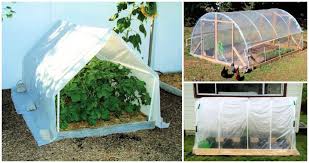 Regardless of whether you are looking for something simple and easy to complete or want to undergo a massive project, we have searched far and wide to produce a list of amazing diy greenhouse ideas. 16 Pvc Greenhouse Plans Help You To Build A Cheap Greenhouse