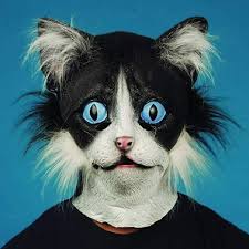 loftus black cat kitty kitten face mask