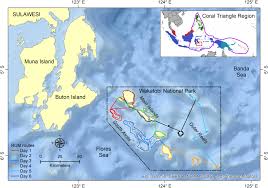 Baca manga mother hunting chapter 16 bahasa indonesia terbaru di sekaikomik. Frontiers Using Cost Effective Surveys From Platforms Of Opportunity To Assess Cetacean Occurrence Patterns For Marine Park Management In The Heart Of The Coral Triangle Marine Science
