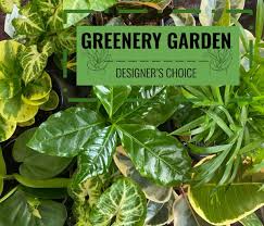 Greenery Plant Garden In Portland Or
