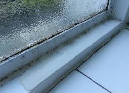 How to Keep Algae From Growing in an Air Conditioner Condensation     Window Condensation