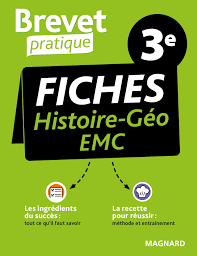 Brevet Pratique Fiches Histoire-Géographie-EMC 3e - Brevet 2023 : Daboval,  Nadine: Amazon.fr: Livres