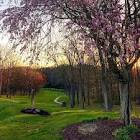 Great Trail Golf Course | Minerva OH