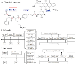 Structure And Flow Chart A Chemical Structure Of Pdox