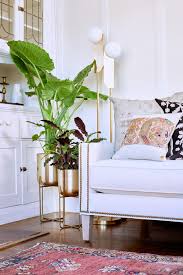 tropical living room photos design