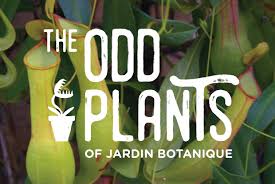 The Odd Plants Capsules Of Jardin