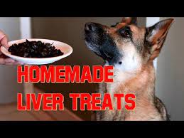 liver treats for your dog